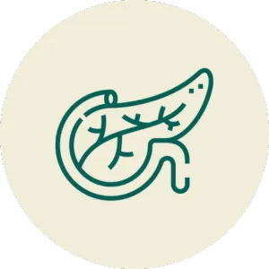 Pancreas